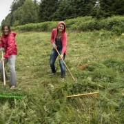 Jugendworkcamp Bild 05